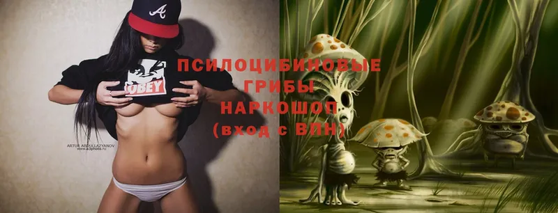 Псилоцибиновые грибы Magic Shrooms  где продают наркотики  Покачи 